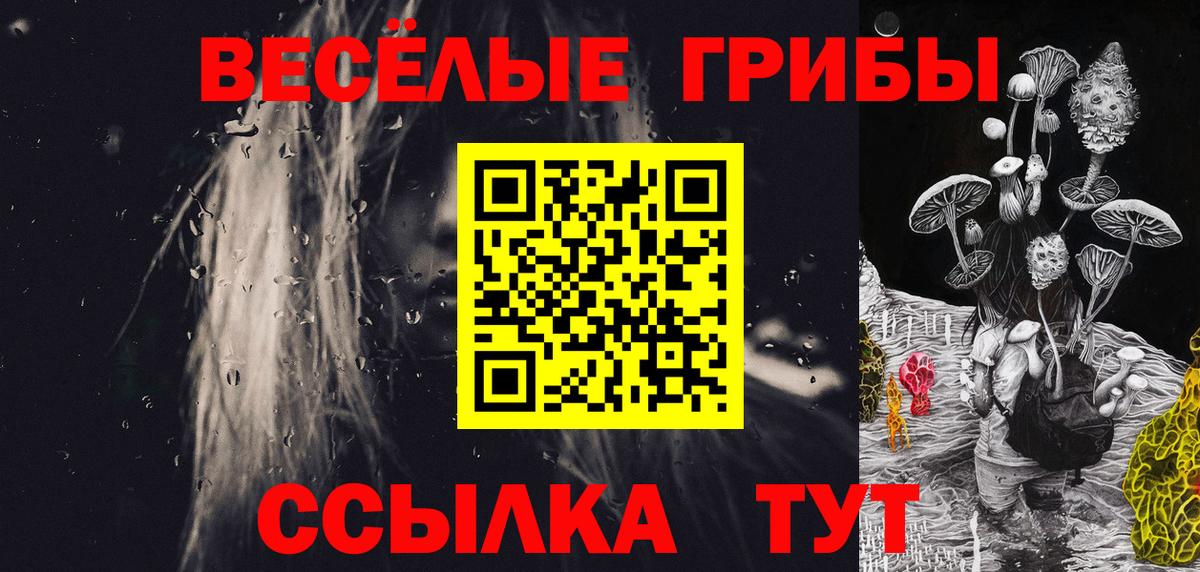 Урус-Мартан  Галлюциногенные грибы Psilocybe  Вход с VPN  Галлюциногенные грибы прущие грибы 