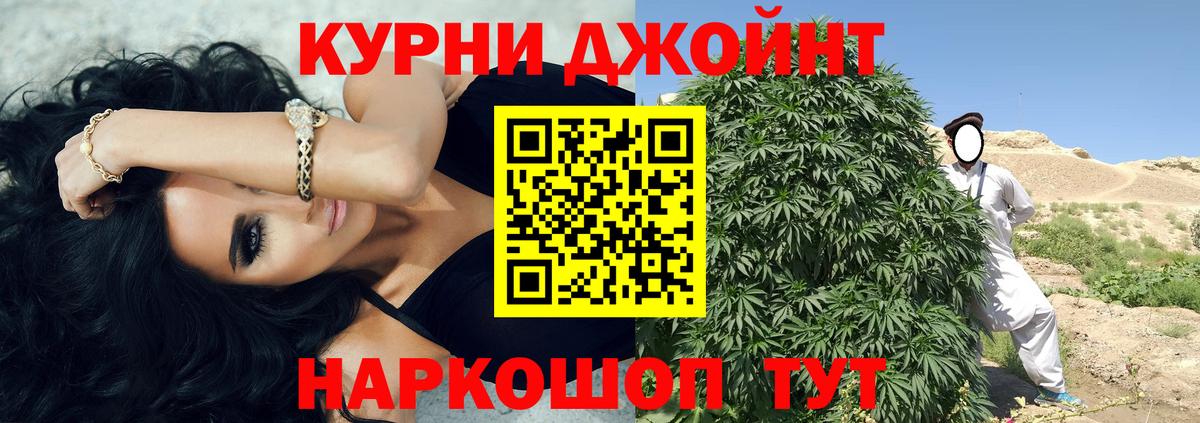 Урус-Мартан  Каннабис планчик  Шишки марихуана сатива  Вход с VPN 